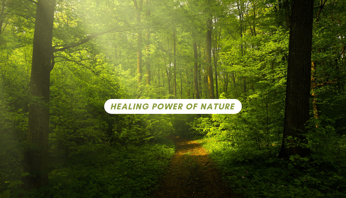 Healing Power of Nature